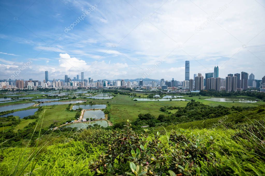 Rural green fields with fish ponds on Hong Kong and the skylines of Shenzhen