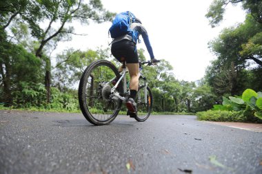 Tropikal yağmur ormanları parkurunda dağ bisikletine binen kadın bisikletçi