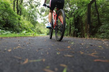 Tropikal yağmur ormanları parkurunda dağ bisikletine binen kadın bisikletçi
