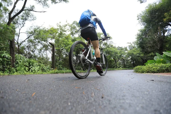 Kerékpáros Lovaglás Mountain Bike Trópusi Esőerdő Nyomvonal — Stock Fotó