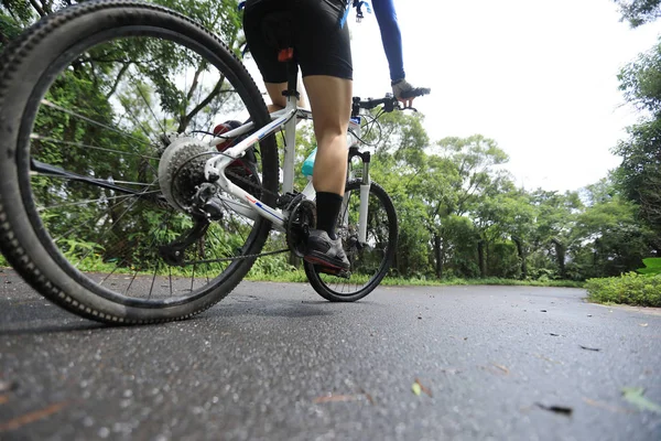 Mujer Ciclista Montando Bicicleta Montaña Sendero Selva Tropical —  Fotos de Stock