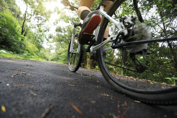 Mulher Ciclista Montando Bicicleta Montanha Trilha Floresta Tropical — Fotografia de Stock