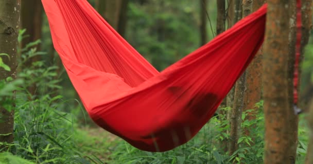 Femme Relaxante Dans Hamac Forêt Tropicale — Video