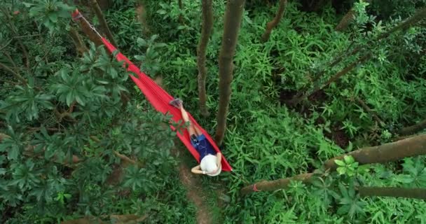 在热带雨林中用智能手机在吊床上放松的妇女的头顶视图 — 图库视频影像