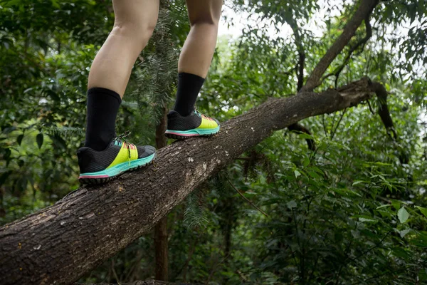 Caminhadas Mulher Caminhante Pernas Andando Sobre Árvore Caída Log Floresta — Fotografia de Stock
