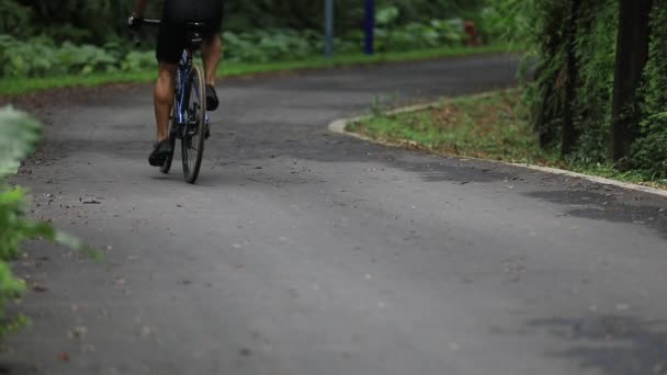 Radler Fährt Mountainbike Auf Tropischem Regenwald Trail — Stockvideo