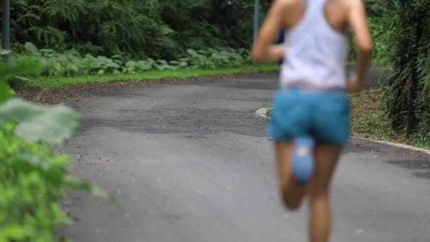 Corredor Feminino Correndo Trilha Parque Verão Mulher Fitness Saudável Correndo — Vídeo de Stock