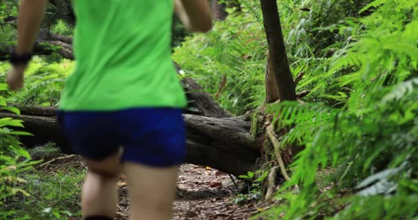 Corredor Ultra Maratón Mujer Corriendo Por Sendero Selva Tropical — Vídeos de Stock