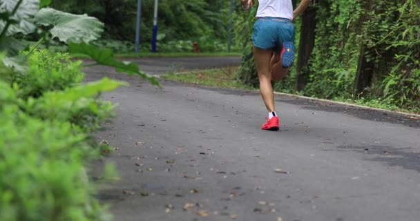 Biegacz Kobieta Działa Letnim Szlaku Parku Zdrowy Fitness Kobieta Jogging — Wideo stockowe