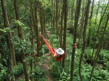 Tropikal yağmur ormanlarında akıllı telefon ile hamakta dinlenen kadın