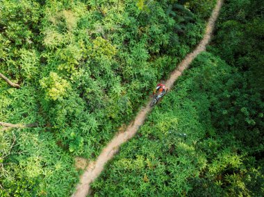 Tropik yağmur ormanları iz üzerinde yürüyüş dağ bisikleti ile kros bisikletkadın bisikletçi Aerail görünümü