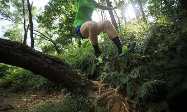 Ultramarathon Δρομέας Διασχίζουν Διαδρομή Χώρα Τρέχει Καλοκαίρι Τροπικό Δάσος — Φωτογραφία Αρχείου