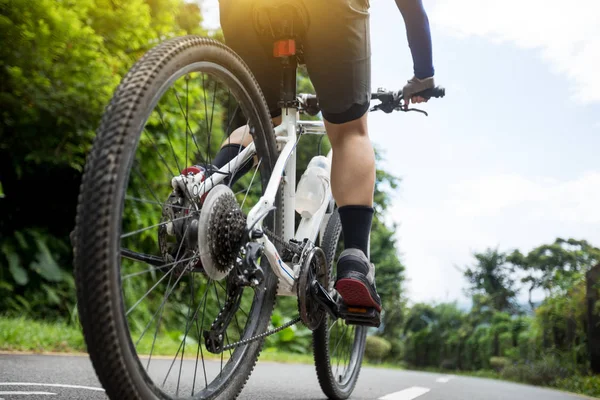 Radfahrerin Fährt Mountainbike Auf Tropischem Regenwaldweg — Stockfoto