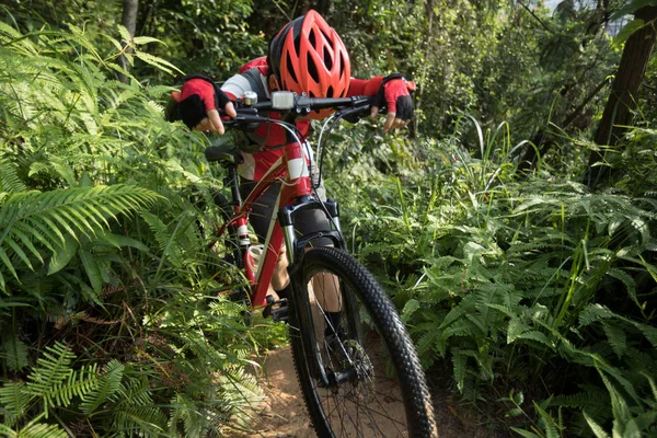 Fáradt Kerékpáros Egy Pihenés Míg Határon Ország Kerékpározás Trópusi Erdőben — Stock Fotó