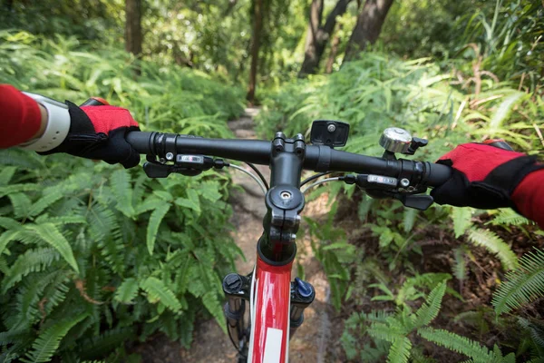 Cross Country Ciclista Ciclista Andar Bicicleta Montanha Trilha Floresta Tropical — Fotografia de Stock