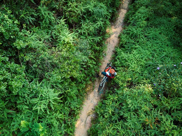 Bicicleta Fondo Ciclista Mujer Establecer Smartwatch Sendero Bosque Tropical — Foto de Stock