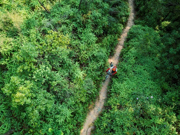 越野自行车女子自行车手在热带雨林小径上行走的山地自行车的 Aerail — 图库照片