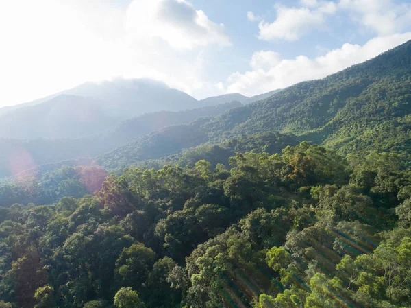 Vista Aérea Montanhas Com Florestas Tropicais Densas Verdes Nevoeiro Matinal — Fotografia de Stock