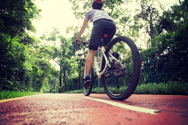 Ciclista Donna Bicicletta Sulla Pista Soleggiata Del Parco Estate — Foto Stock