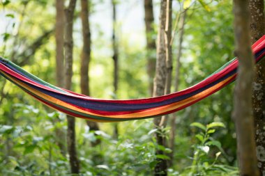 Ormanda hamakta dinlenmek