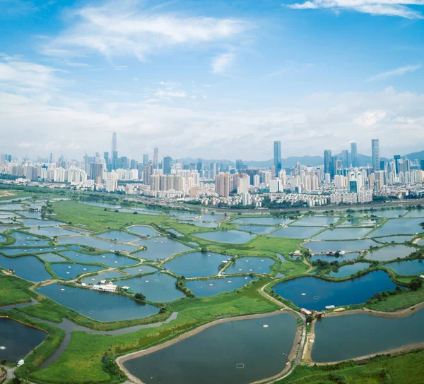Letecký Pohled Venkovská Zelená Pole Rybníky Hongkongu Panorama Šen Čen — Stock fotografie