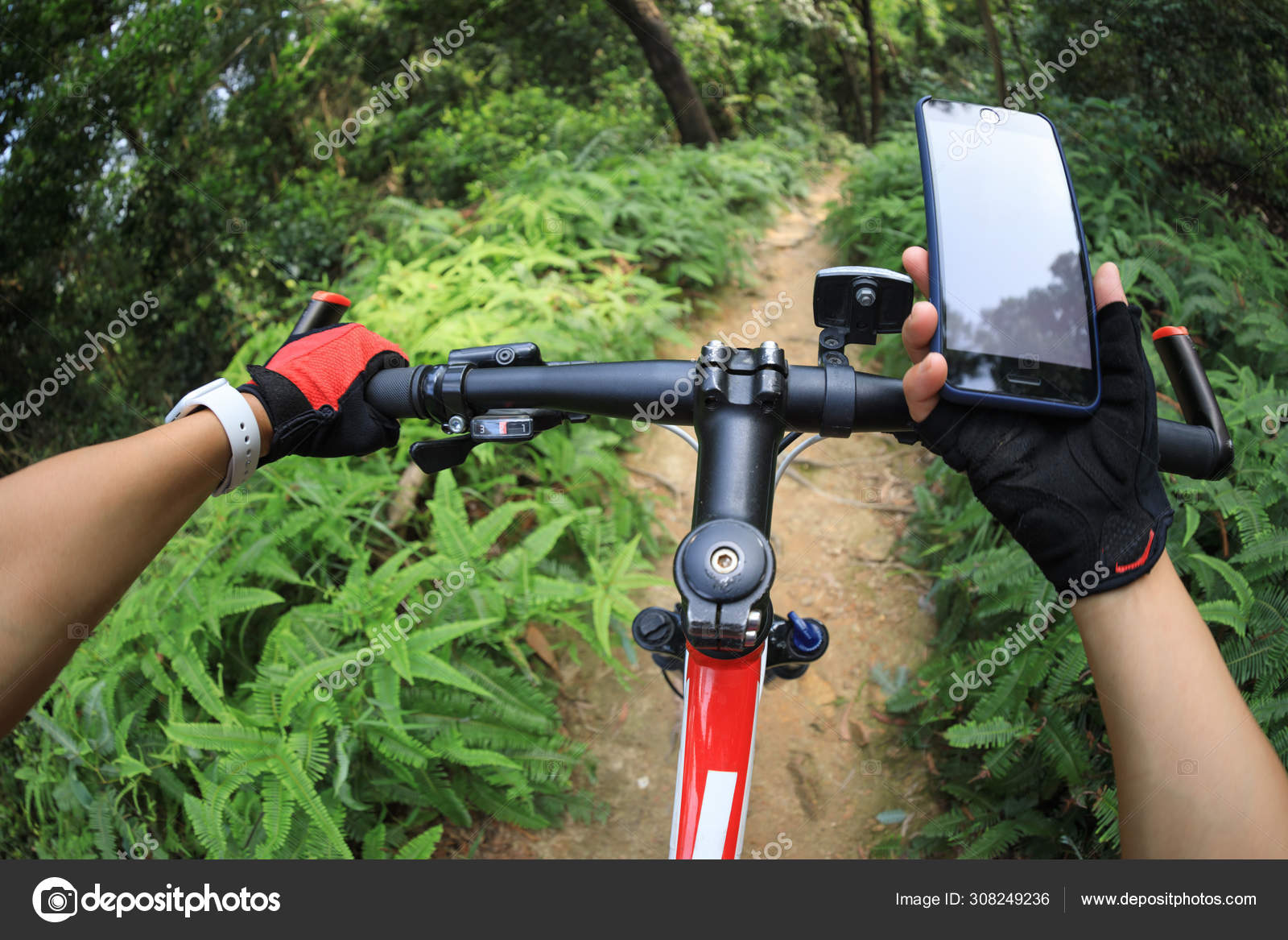 Cyclist Using Smart Phone While Riding Bike Rainforest Trail