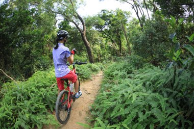 Yağmur ormanı parkurunda bisiklet sürerken akıllı telefon kullanan bisikletçi