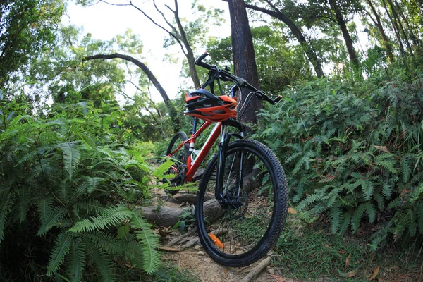 One Mountain Bike Bij Rainforest Trail — Stockfoto