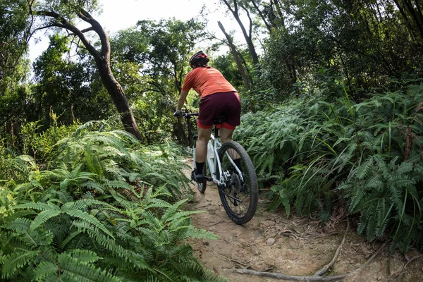 Bicicleta Cross Country Mujer Ciclista Montando Bicicleta Montaña Sendero Bosque — Foto de Stock