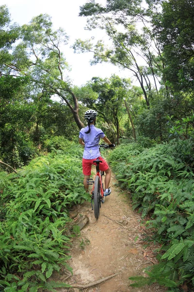 Cross Country Biking Cyclist Riding Mountain Bike Tropical Rainforest Trail — Stock Photo, Image