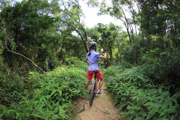 Cross Country Biking Cyclist Drinking Water Tropical Rainforest Trail — Stock Photo, Image