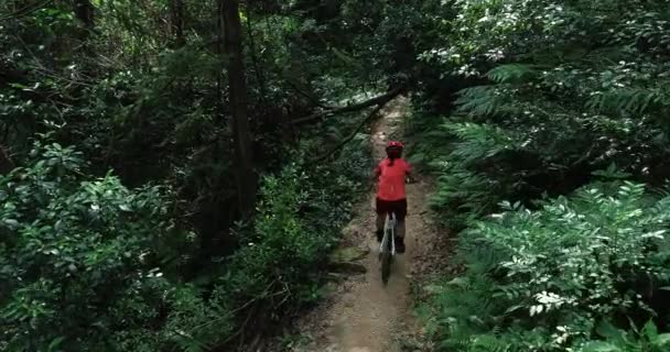 Cross Country Biking Vrouw Fietser Rijden Mountain Bike Tropisch Bos — Stockvideo