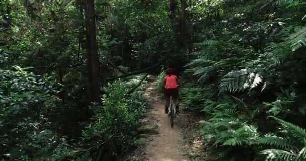 クロスカントリーバイク 熱帯林トレイルでマウンテンバイクに乗る女性サイクリスト — ストック動画