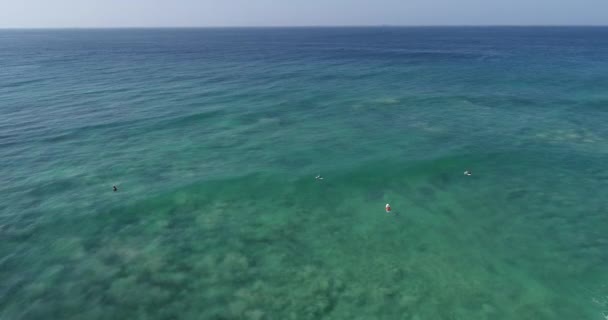 Imágenes Aéreas Vista Superior Desde Dron Surfistas Remando Para Atrapar — Vídeo de stock