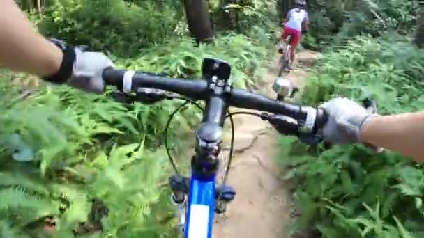 Ciclisti Sesso Femminile Sella Mountain Bike Sul Sentiero Nel Bosco — Video Stock