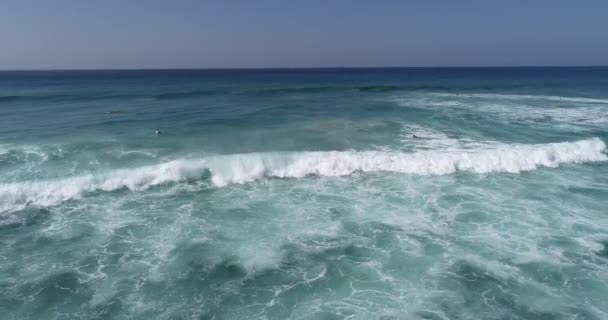 Zdjęcia Lotnicze Widok Góry Drone Surferów Brodzik Połowu Fal Podczas — Wideo stockowe