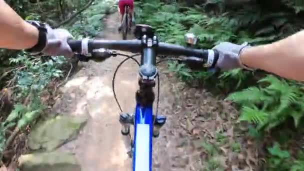 Vrouwelijke Fietsers Rijden Mountainbikes Trail Bos — Stockvideo