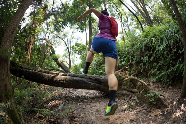 Ultramarathon Piste Ski Fond Forêt Tropicale Estivale — Photo