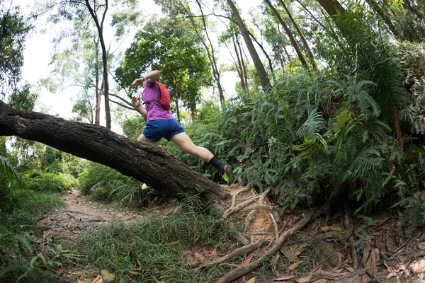 夏季热带雨林中的超马拉松赛跑者穿越乡村小径 — 图库照片