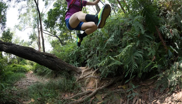 夏の熱帯雨林を走る超マラソンランナー クロスカントリーコース — ストック写真