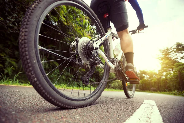 Mujer Ciclista Montando Bicicleta Montaña Carril Bici — Foto de Stock