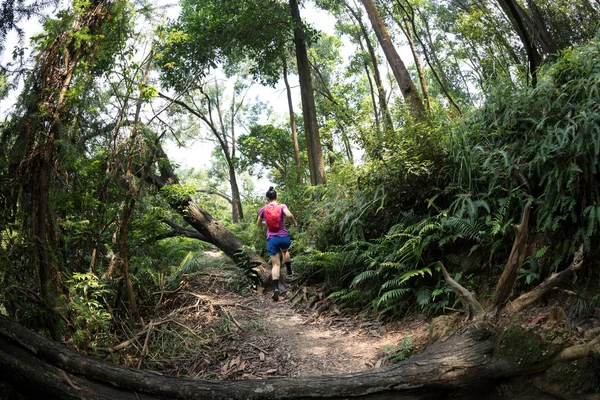 Ultramarathon Futó Terepfutó Ösvény Futó Nyári Trópusi Esőerdők — Stock Fotó