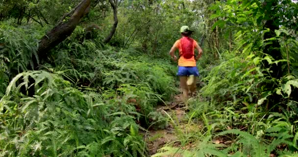 Kvinna Ultra Marathon Löpare Kör Tropiska Regnskog Trail — Stockvideo