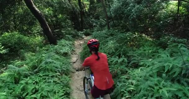 熱帯雨林トレイルでマウンテンバイクに乗るクロスカントリーバイク女性サイクリスト — ストック動画