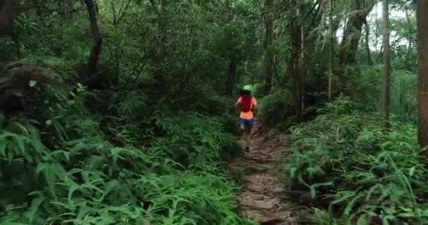 Corredor Ultra Maratón Mujer Corriendo Por Sendero Selva Tropical — Vídeo de stock