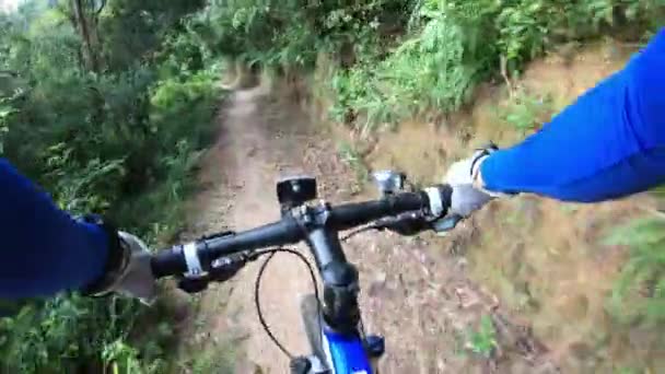 Bicicleta Cross Country Ciclista Montando Bicicleta Montaña Sendero Selva Tropical — Vídeo de stock