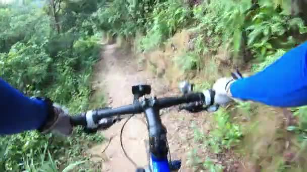 Rowerzysta Cross Country Jazda Rowerze Górskim Szlaku Tropikalnego Lasu Deszczowego — Wideo stockowe