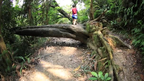 Woman Ultra Marathon Runner Running Tropical Rainforest Trail Slow Motion — Stock Video