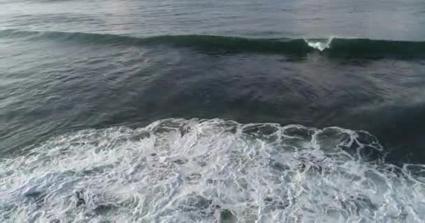 スリランカの美しい海の波 — ストック動画