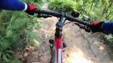 Ormanda iz üzerinde dağ bisikleti sürme kadın bisikletçiler